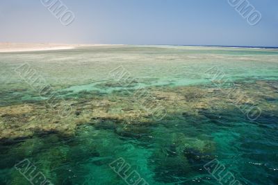 reef at low tide