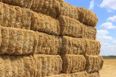 haystack