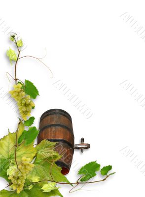 vines and grapes