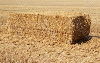 haystack