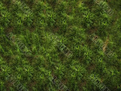 Pale green background