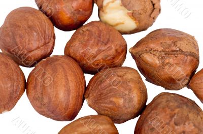 Hazelnuts Isolated on White Background