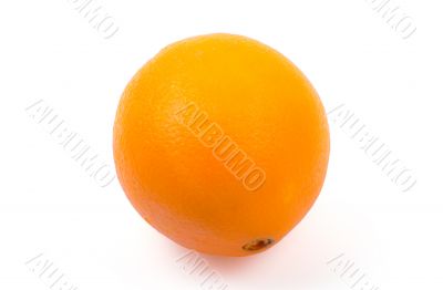 Orange isolated on white background