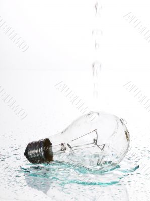 the bulb