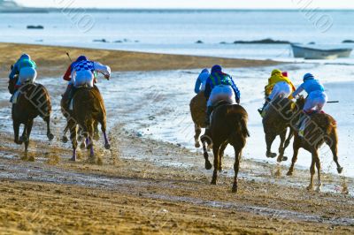 Horse race on Sanlucar of Barrameda, Spain, August  2011