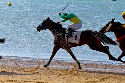 Horse race on Sanlucar of Barrameda, Spain, August  2011