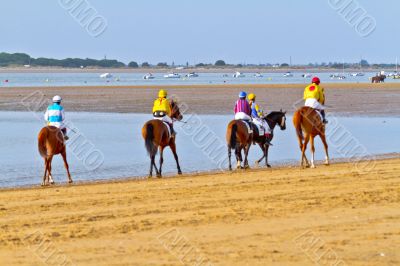 Horse race on Sanlucar of Barrameda, Spain, August  2011