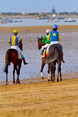 Horse race on Sanlucar of Barrameda, Spain, August  2011