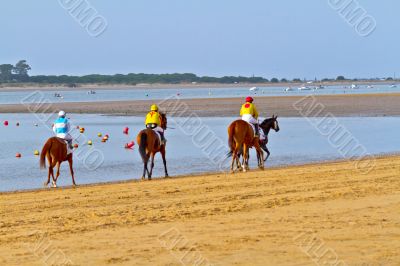 Horse race on Sanlucar of Barrameda, Spain, August  2011