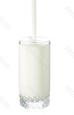 the milk