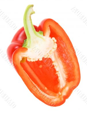  paprika