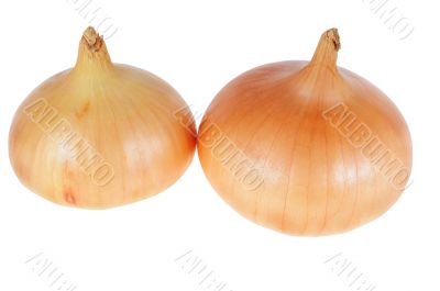 onion