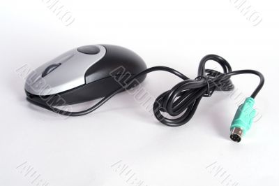computer mouse