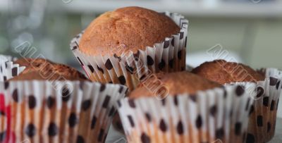 cupcakes