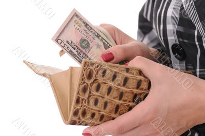 purse
