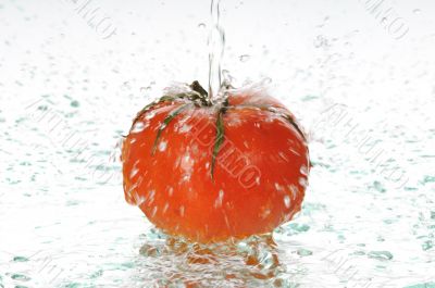 tomato in water