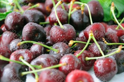 cherries in water drops closeup