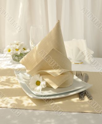   napkin 