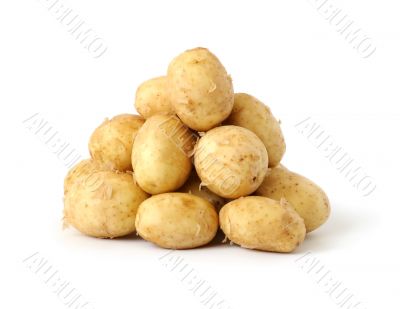 new potatoes