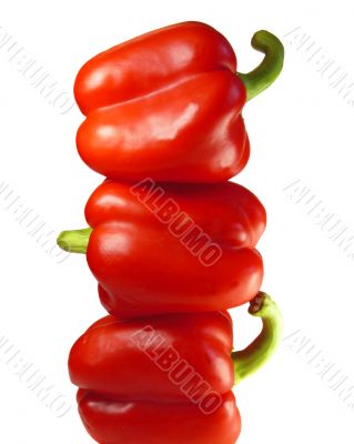 Red bell pepper isolated on white background 
