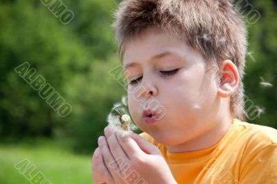 A boy blowing on a dandelion, a portrait of a summer day