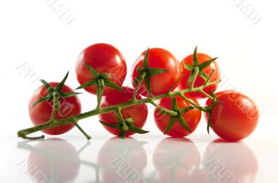 Sprig of ripe cherry tomatoes on a light background