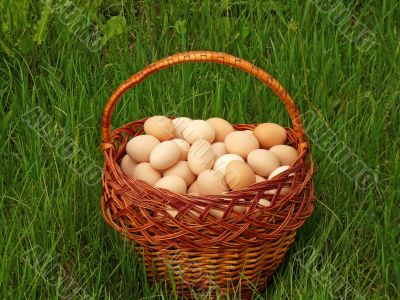 Eggs in a wicker basket on the green grass