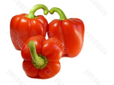 Red bell pepper isolated on a white background