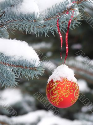 Snow-ball on the street tree 