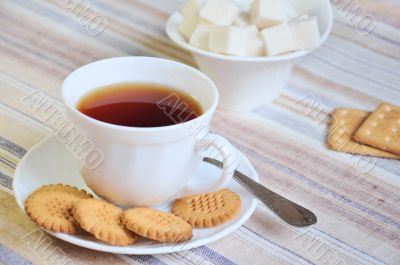 Black tea with cookies and lump sugar