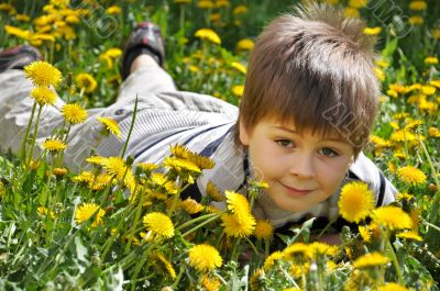 The boy lies in the dandelions