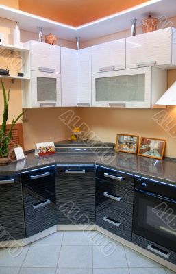 Interior of modern kitchen in a beautiful black and white