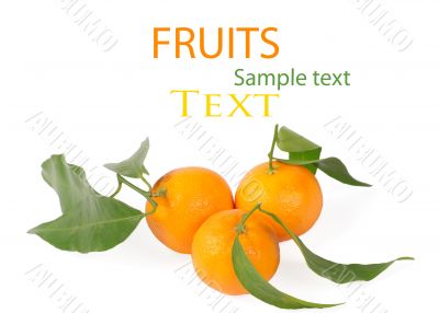 Tangerines with green leaves isolated on white