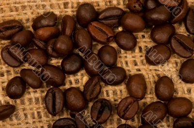 Coffee grains background on burlap