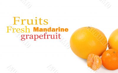 Fresh citrus fruit on a white background