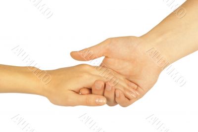 Shaking hands of two people, man and woman, isolated on white.