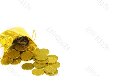 Money coins in golden bag isolated on white