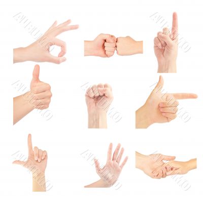 Set of gesturing hands isolated on white background