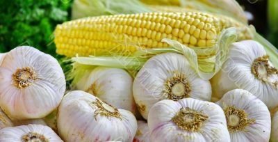 Garlic and corn