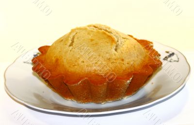 Pies on a white background
