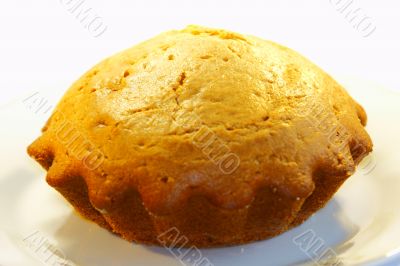 Pies on a white background