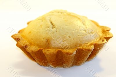 Pies on a white background