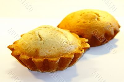 Pies on a white background