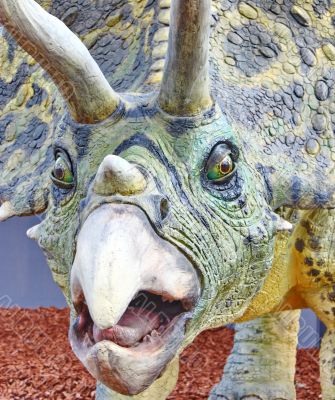 Triceratops portrait