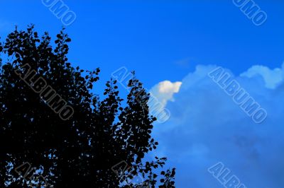 clouds  