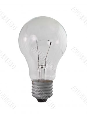 Isolated Bulb