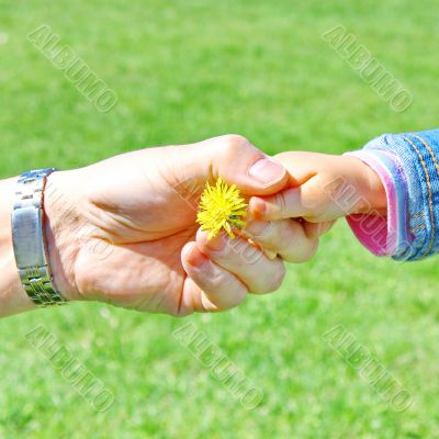  Handshake the small and big man 