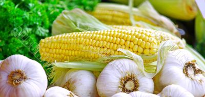  Corn and garlic