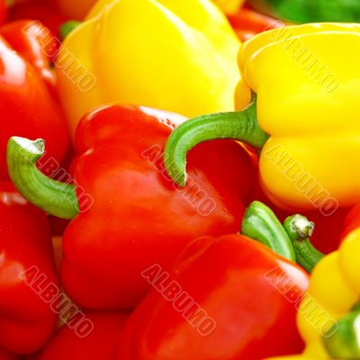  Miscellaneous colored peppers