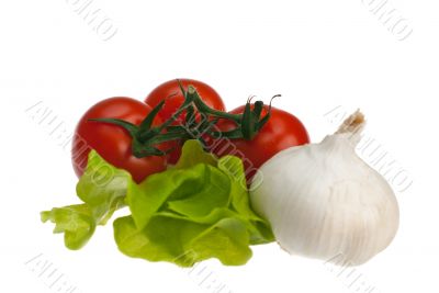 tomato salad with garlic, white background